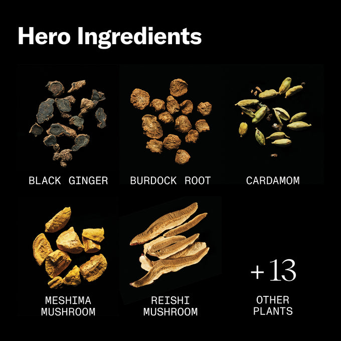 Black Ginger hero ingredients: Black Ginger, burdock root, cardamom, mesima mushroom, reishi mushroom