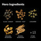 Black Ginger hero ingredients: Black Ginger, burdock root, cardamom, mesima mushroom, reishi mushroom