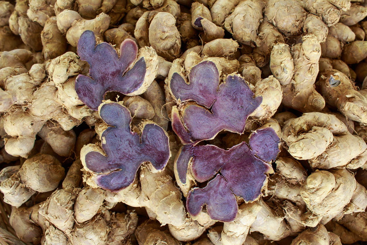 Several black ginger root a few cut open showing how they are purple inside