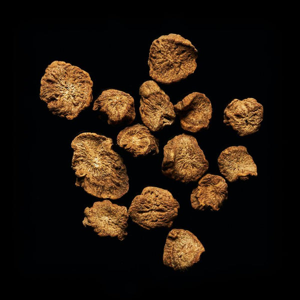 Burdock Root