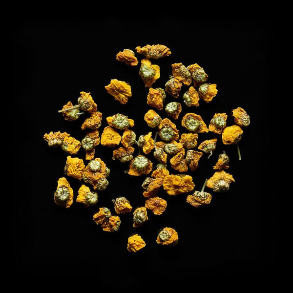 Chrysanthemum