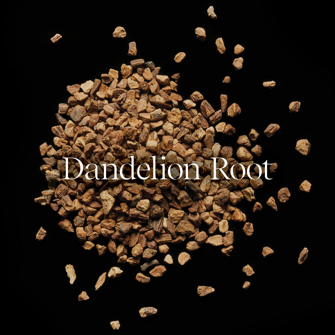 Dandelion root