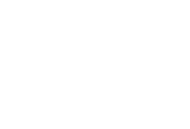 Generally mushrooms are harvested when the caps begin to curve inward and the veil underneath breaks open.