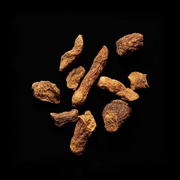 Solomon’s Seal root
