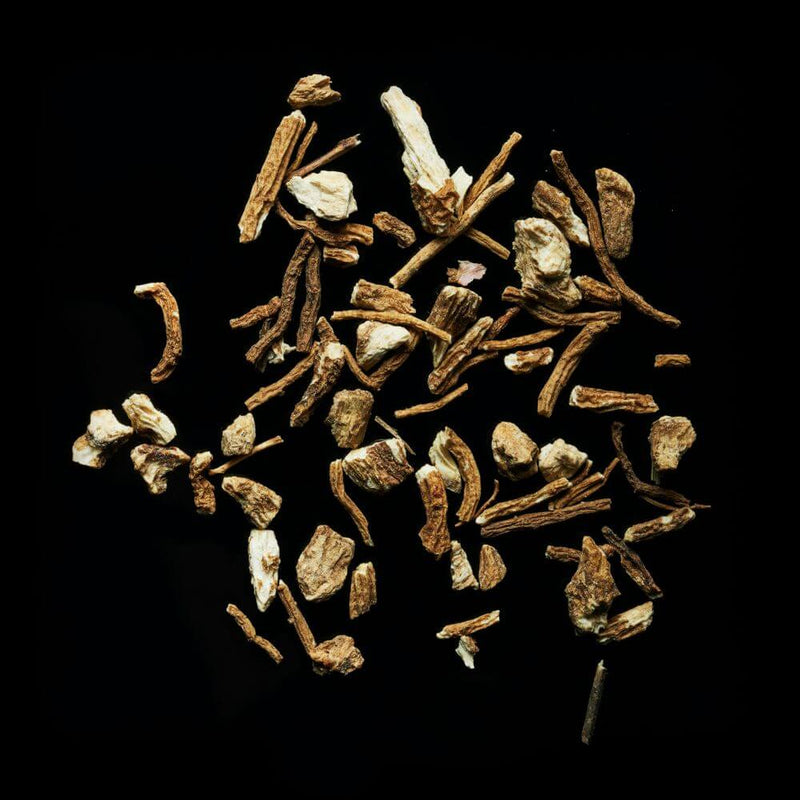 Health Benefits of Angelica Archangelica