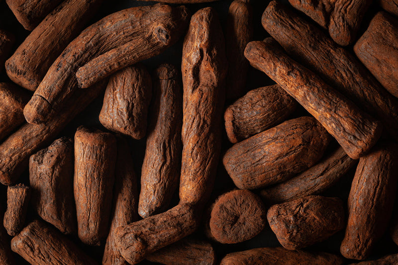 Inulin and Prebiotics: Feeding Your Gut's Good Bacteria