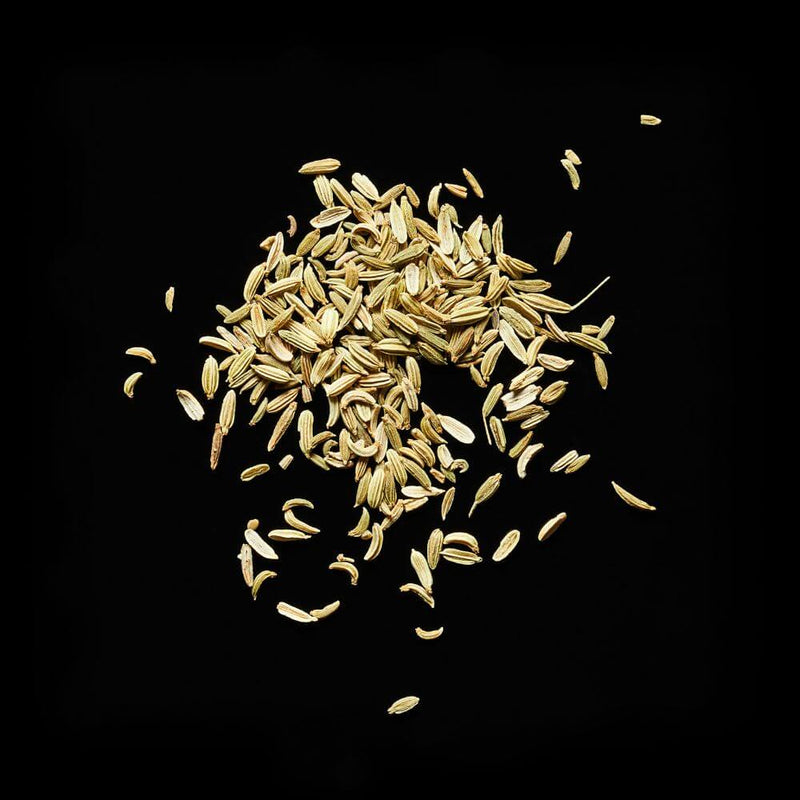 Health Benefits of Fennel