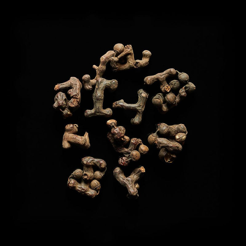 Health Benefits of Oriental Raisin (Hovenia dulcis)