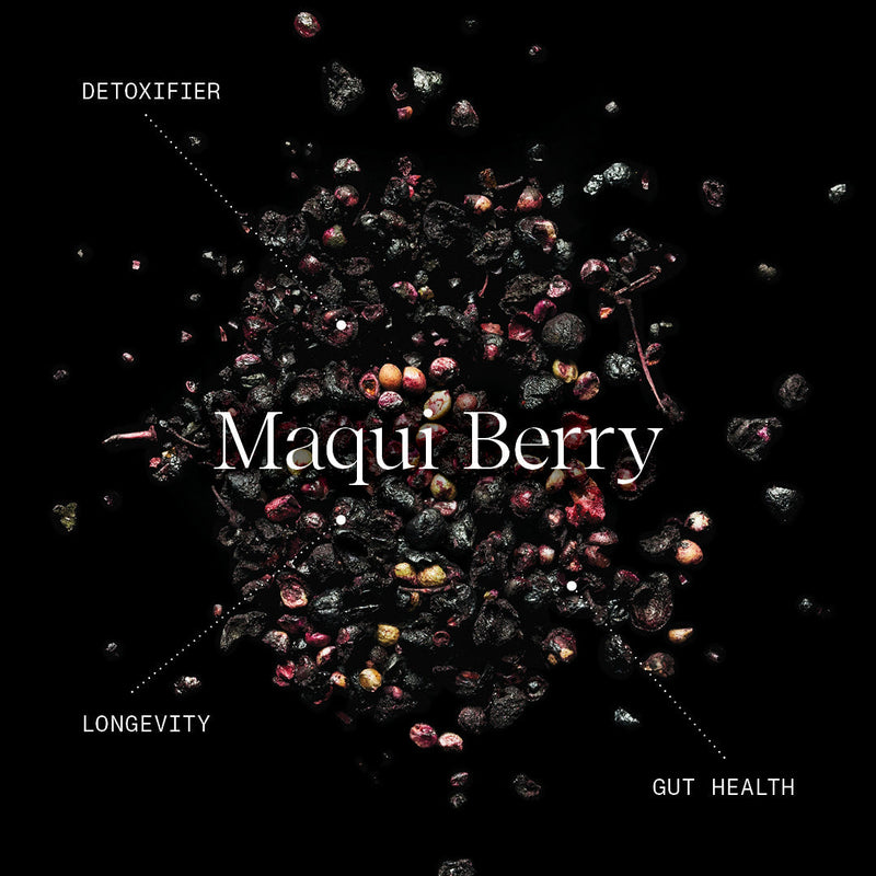 6 Key Health Benefits of Maqui Berry