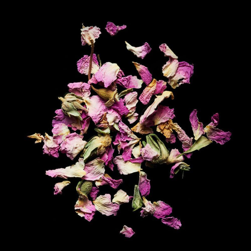 The Health Benefits of Rose Petals
