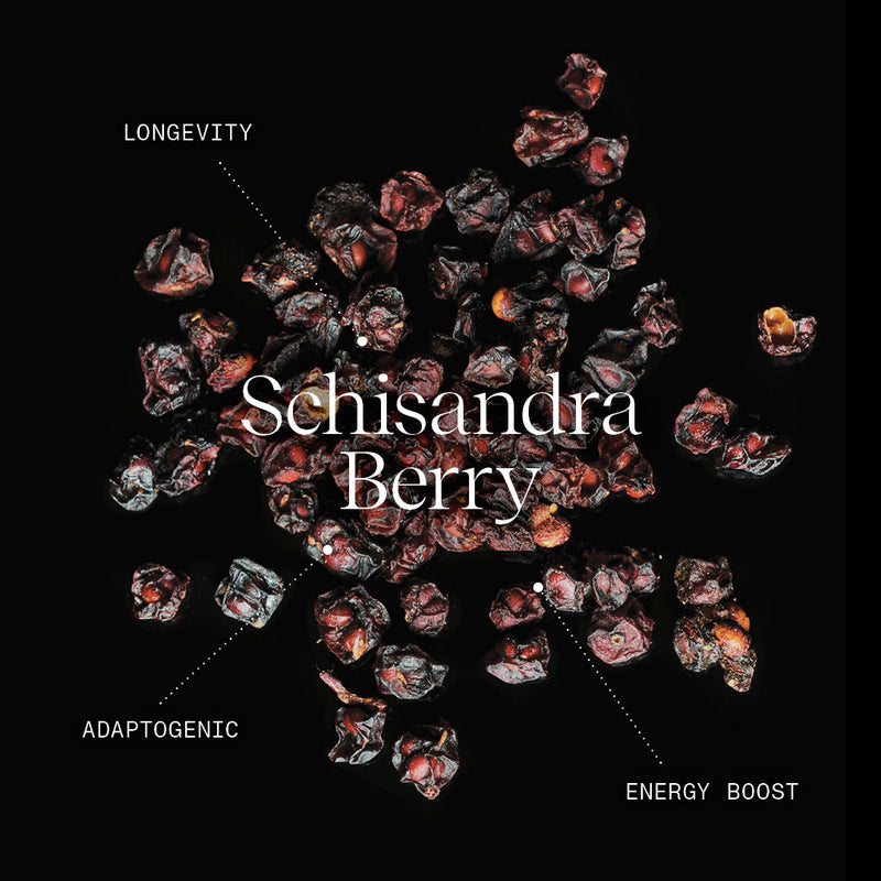 Schisandra Berry Health Benefits & History | Rasāsvāda