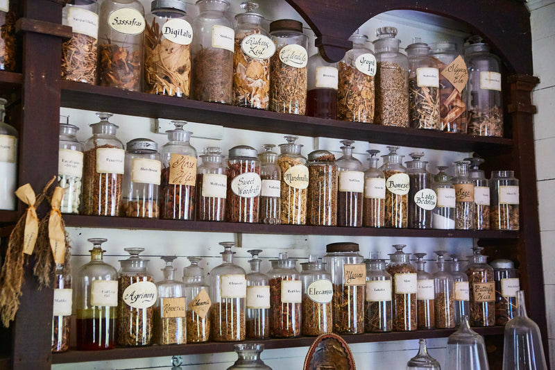 The History of Apothecaries: From Ancient Herbal Remedies to Modern Botanical Wellness