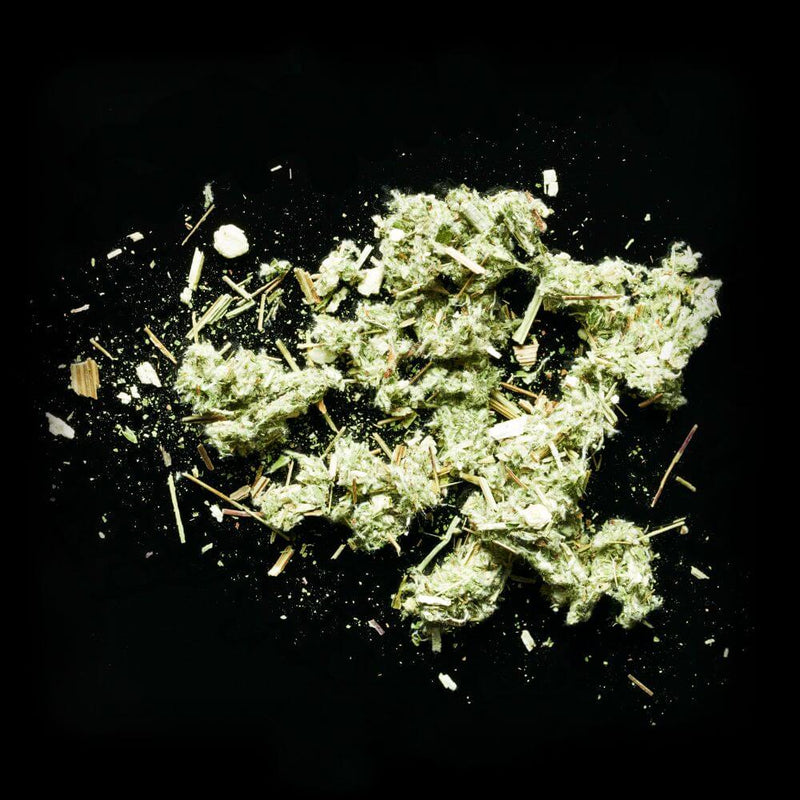 Top Health Benefits of Wormwood