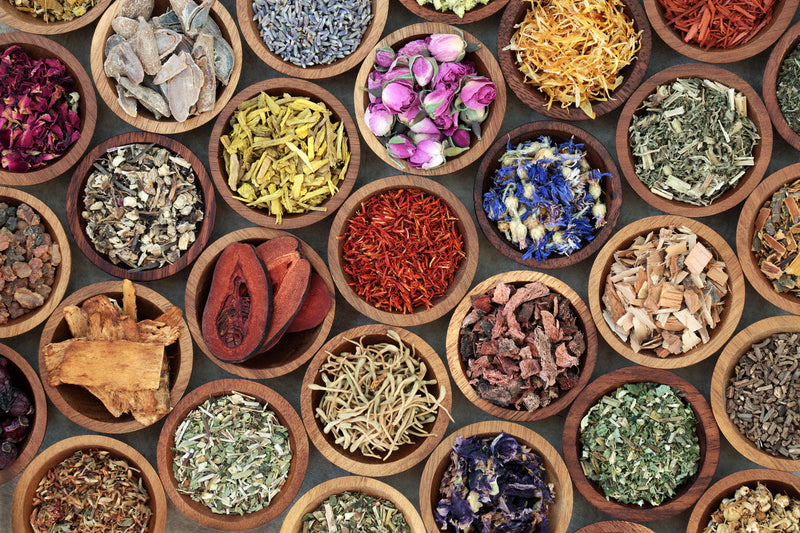 Herbalism vs. Traditional Chinese Medicine (TCM): What's the Difference?