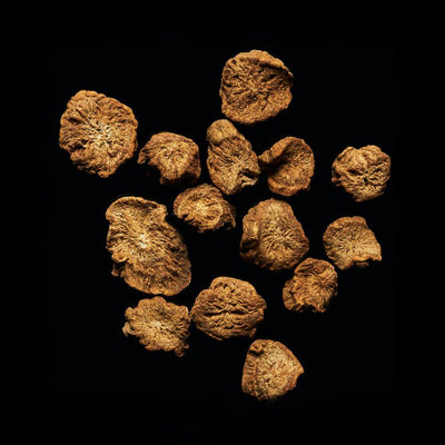 Burdock root
