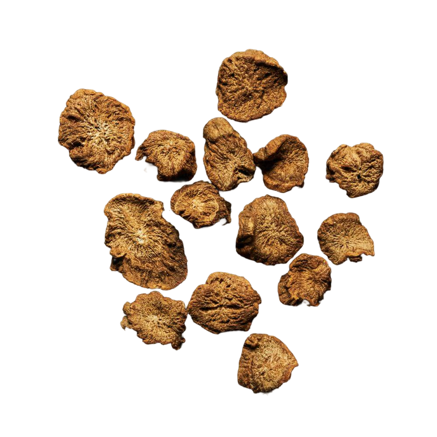 Burdock root
