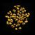 Chrysanthemum