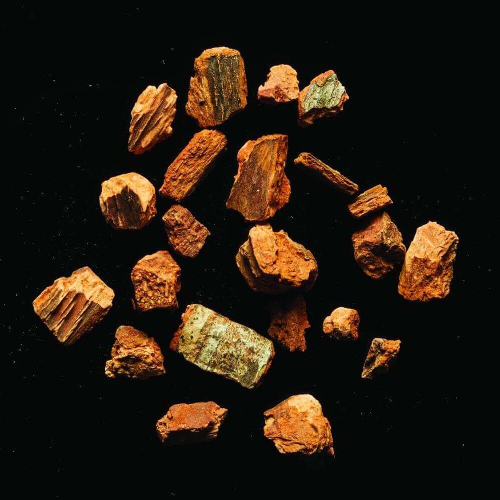 Visual Reference: 5 Key Health Benefits Of Cinchona Bark