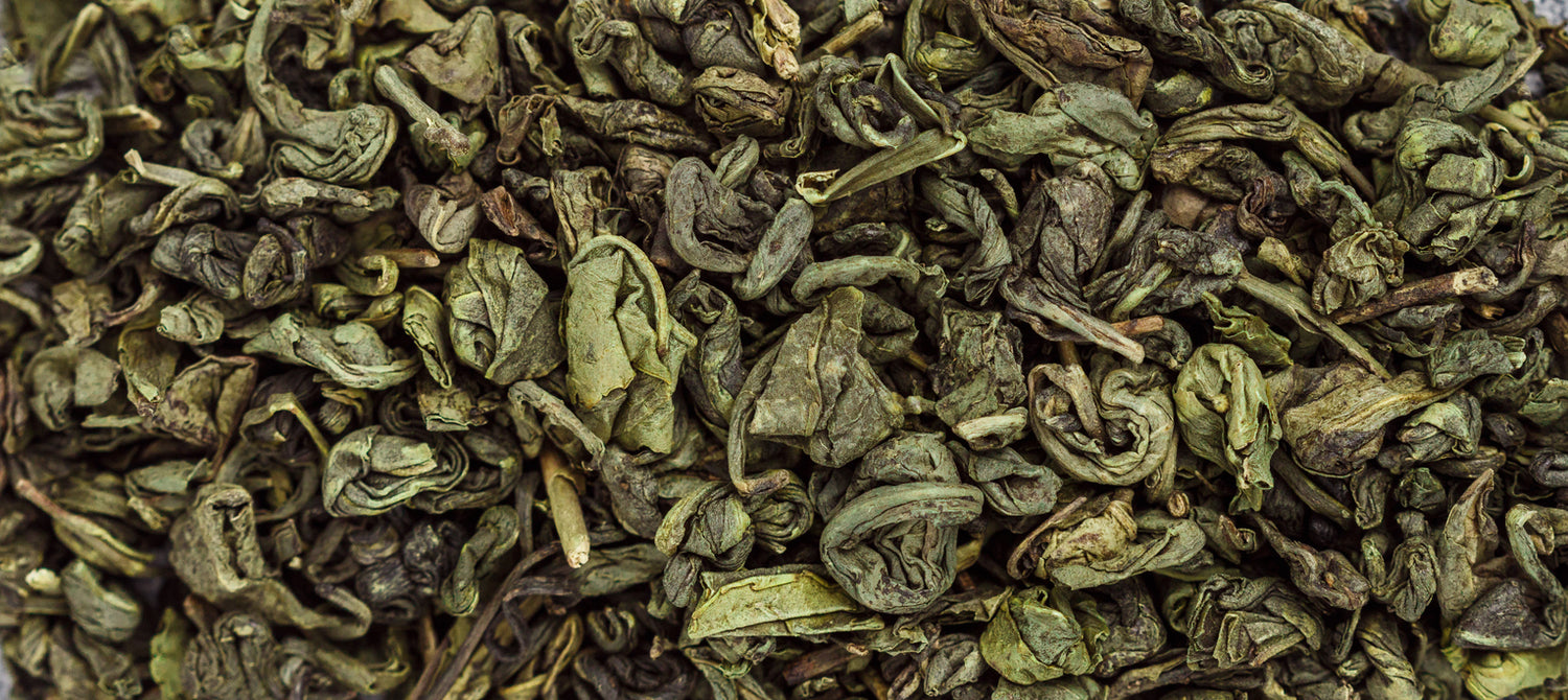L-theanine green leaves nootropics