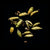Cardamom