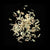 Lemongrass