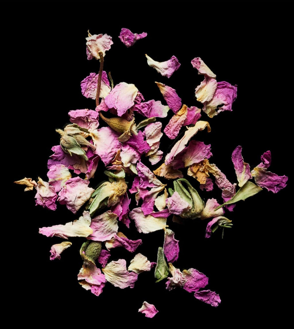 rose petals