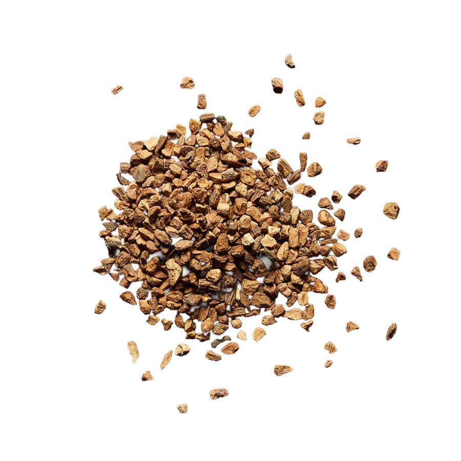 Dandelion root