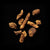 Solomon’s Seal root