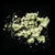 Wormwood
