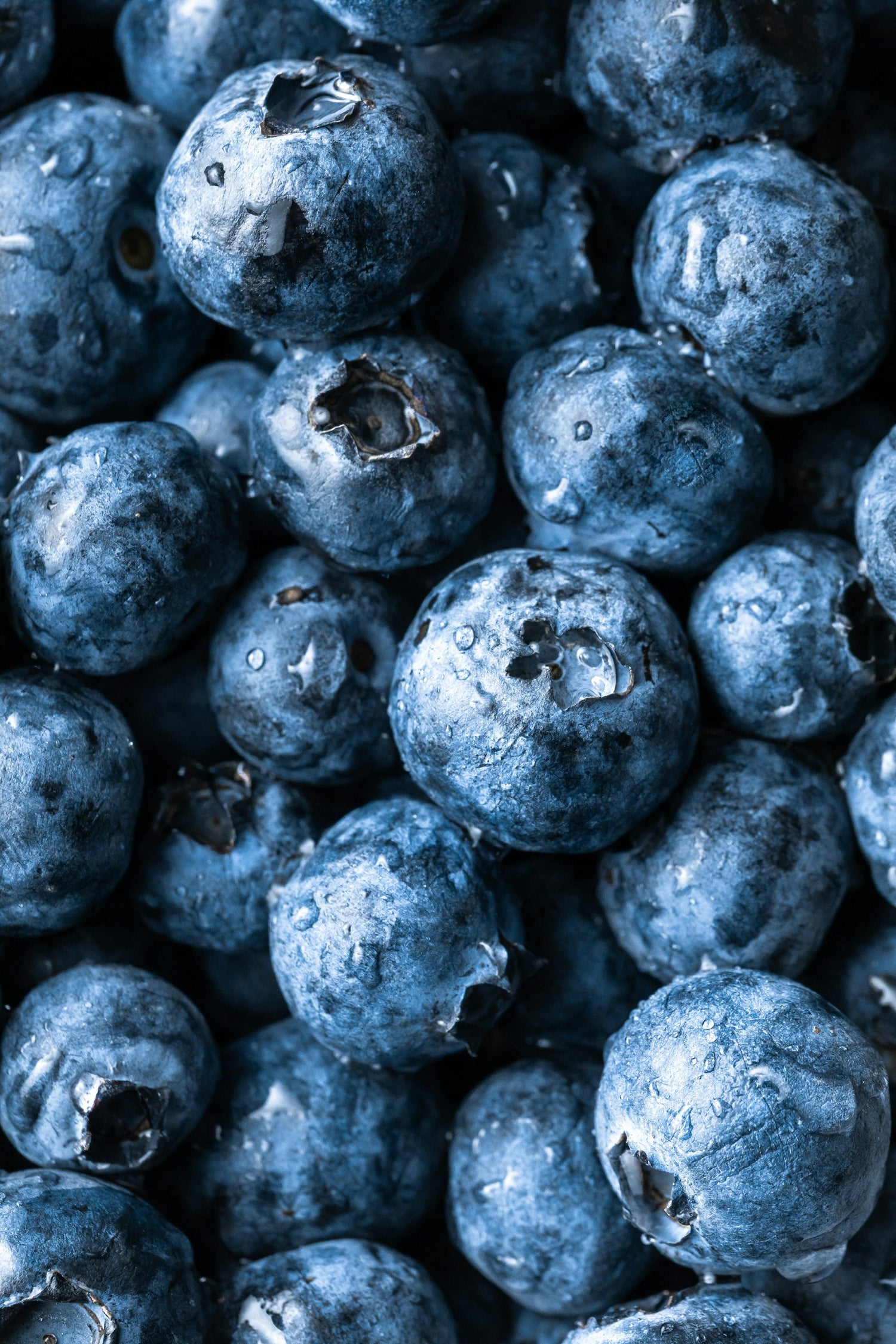 Close-up of blueberries with a focus on texture and color.