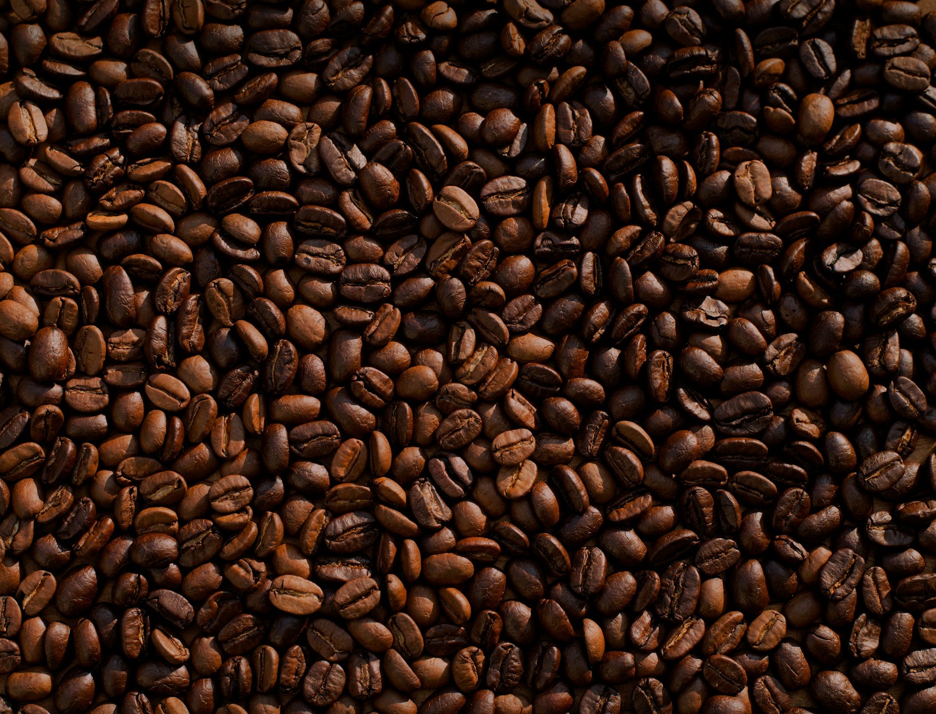 Close-up of roasted coffee beans