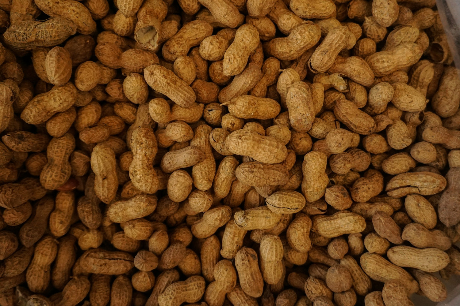 Close-up of a pile of peanuts