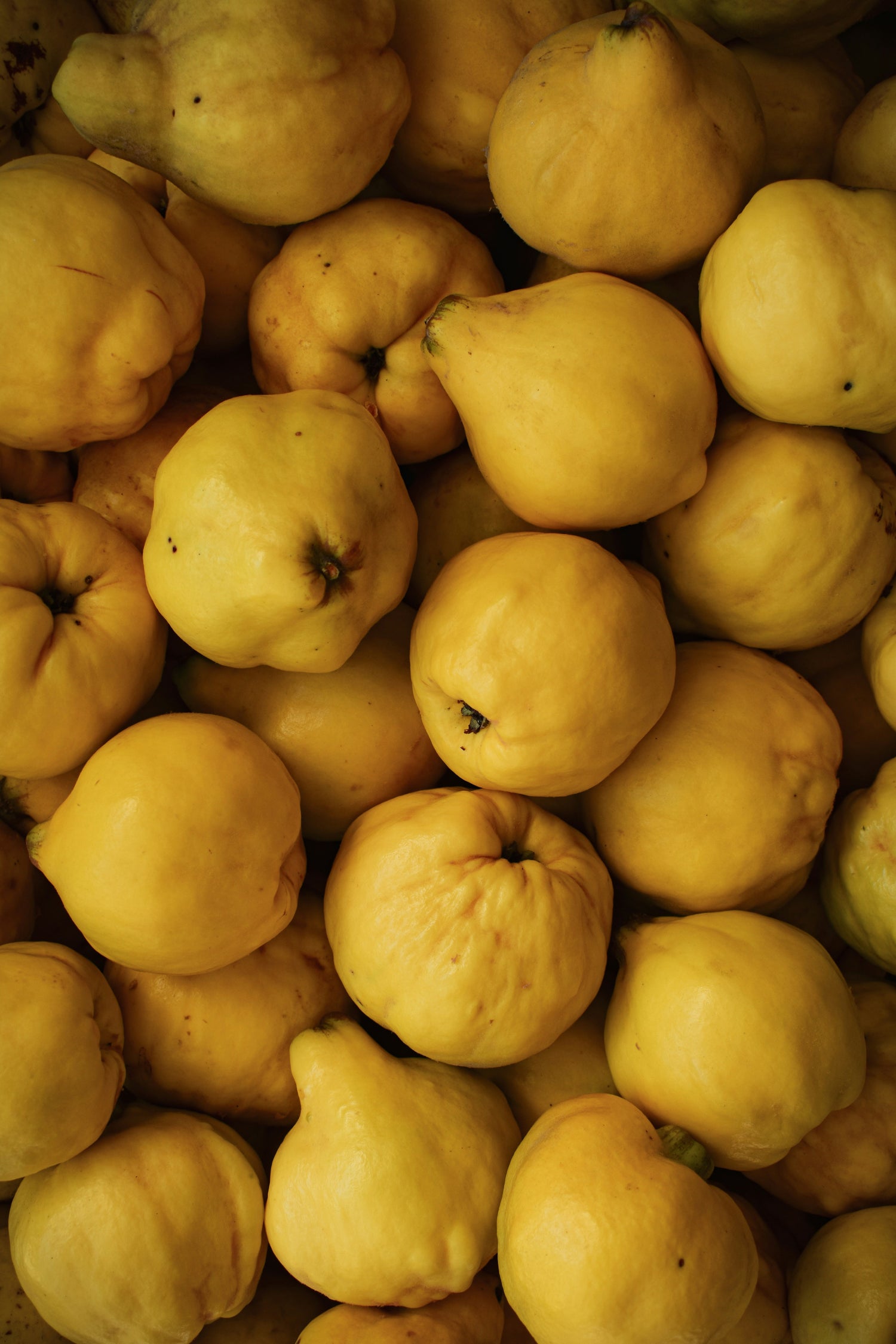 quinces on top of each other