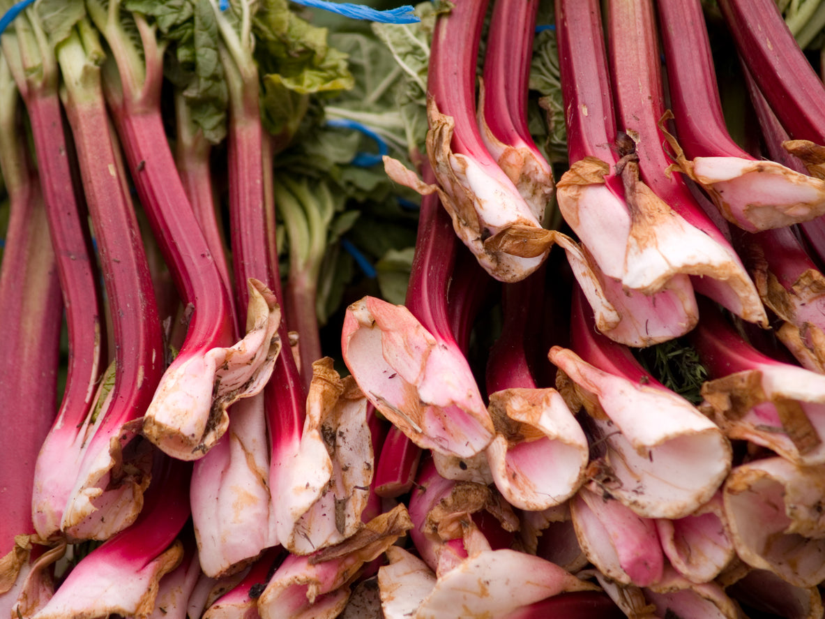 turkish rhubarb sticks